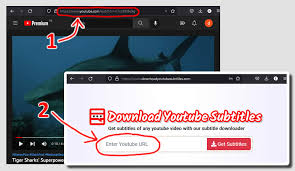  youtub download